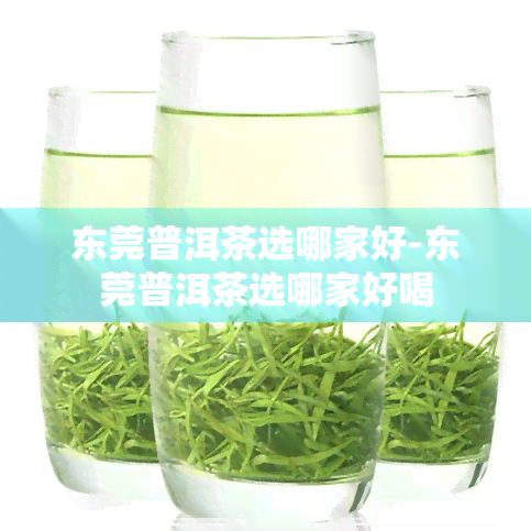 东莞普洱茶选哪家好-东莞普洱茶选哪家好喝