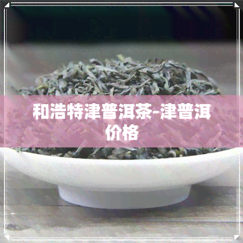 和浩特津普洱茶-津普洱价格