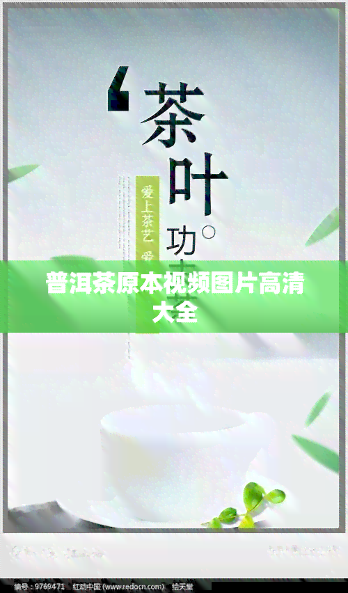 普洱茶原本视频图片高清大全