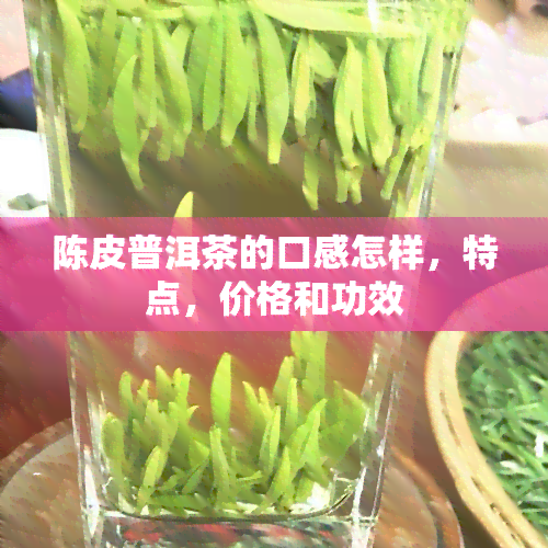 陈皮普洱茶的口感怎样，特点，价格和功效