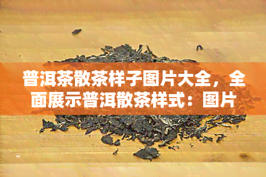 普洱茶散茶样子图片大全，全面展示普洱散茶样式：图片大览