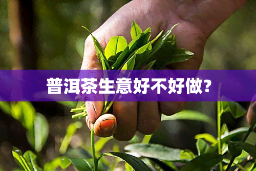 普洱茶生意好不好做？