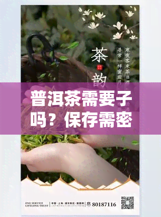 普洱茶需要子吗？保存需密封？需拿出来晒吗？