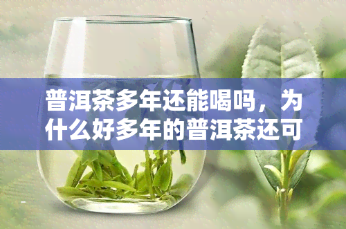 普洱茶多年还能喝吗，为什么好多年的普洱茶还可以喝吗？