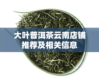 大叶普洱茶云南店铺推荐及相关信息