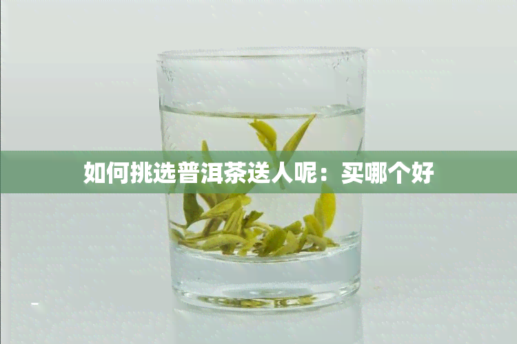 如何挑选普洱茶送人呢：买哪个好