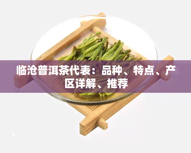 临沧普洱茶代表：品种、特点、产区详解、推荐