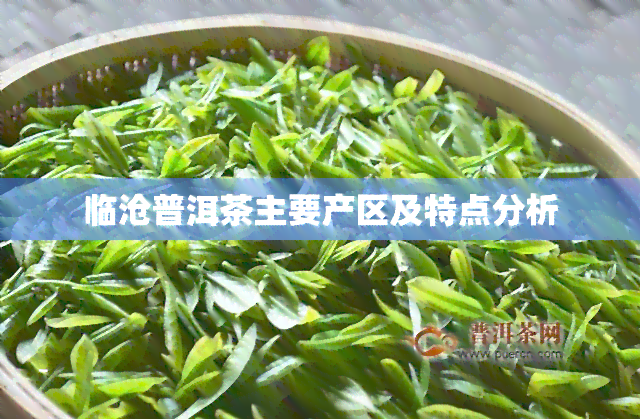 临沧普洱茶主要产区及特点分析