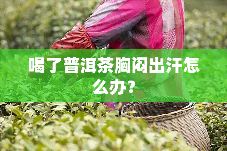 喝了普洱茶胸闷出汗怎么办？