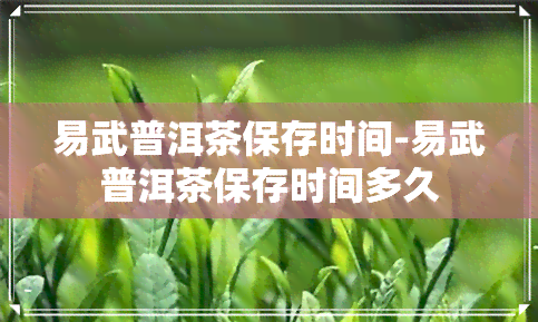 易武普洱茶保存时间-易武普洱茶保存时间多久