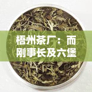 梧州茶厂：而刚事长及六堡茶