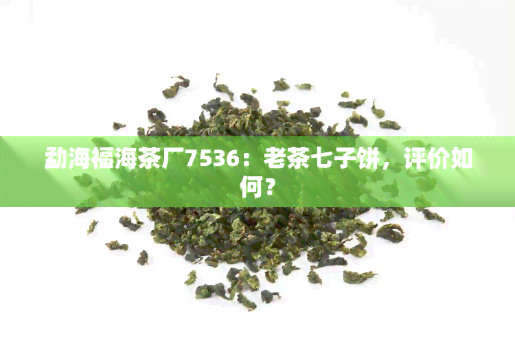 勐海福海茶厂7536：老茶七子饼，评价如何？