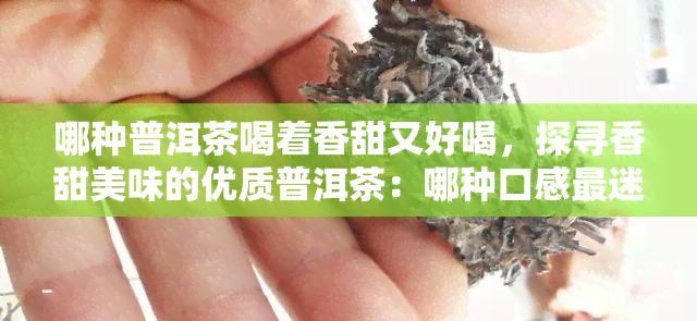 哪种普洱茶喝着香甜又好喝，探寻香甜美味的优质普洱茶：哪种口感最迷人？