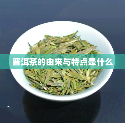 普洱茶的由来与特点是什么