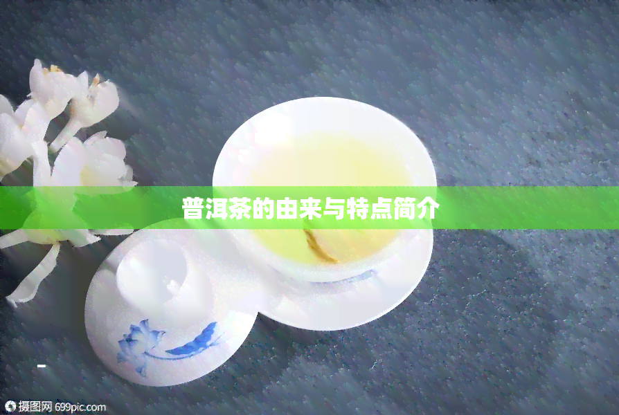 普洱茶的由来与特点简介