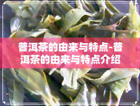 普洱茶的由来与特点-普洱茶的由来与特点介绍