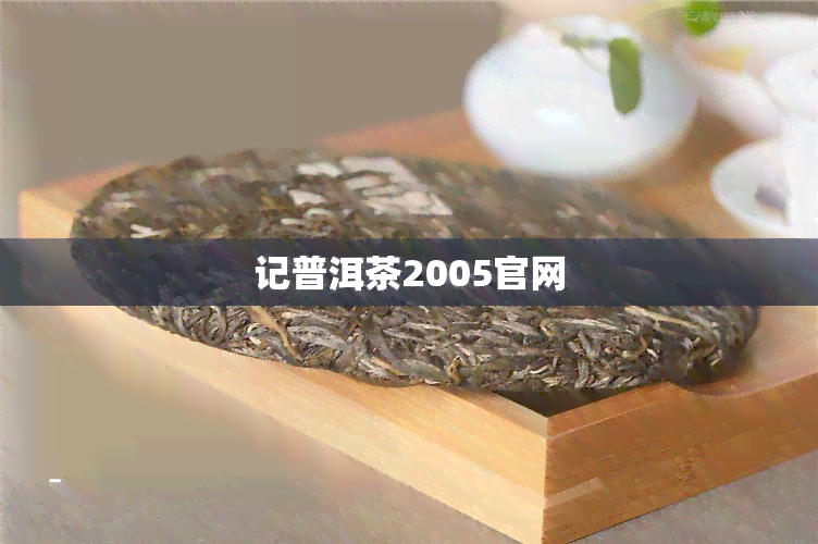 记普洱茶2005官网