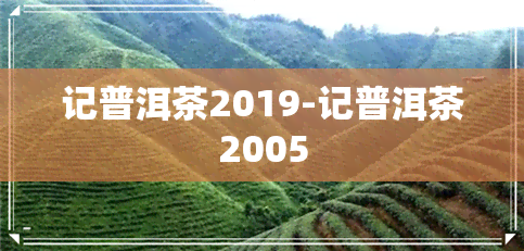 记普洱茶2019-记普洱茶2005