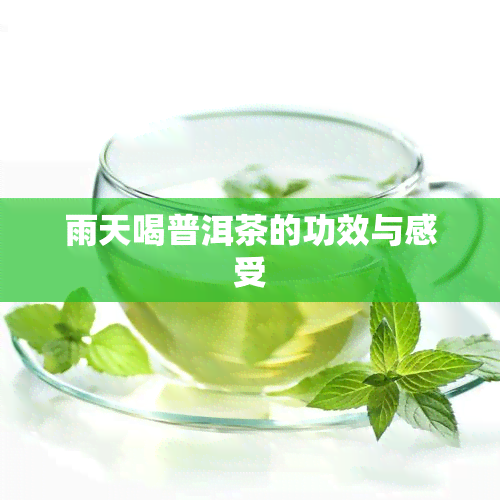 雨天喝普洱茶的功效与感受