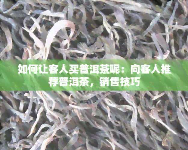 如何让客人买普洱茶呢：向客人推荐普洱茶，销售技巧