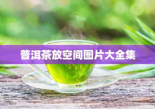 普洱茶放空间图片大全集