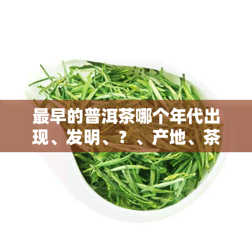 最早的普洱茶哪个年代出现、发明、？、产地、茶型？