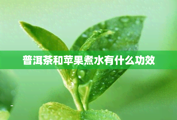 普洱茶和苹果煮水有什么功效