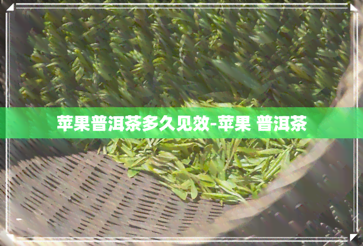 苹果普洱茶多久见效-苹果 普洱茶