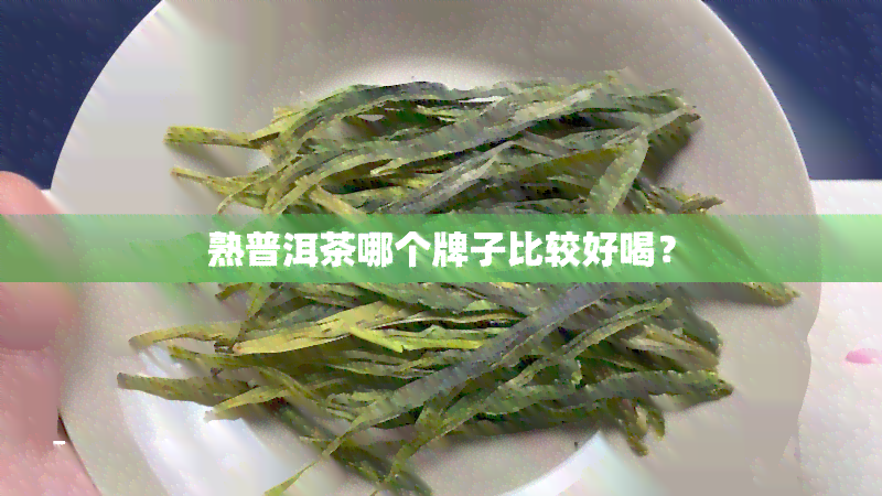 熟普洱茶哪个牌子比较好喝？