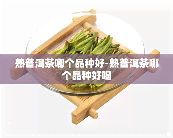 熟普洱茶哪个品种好-熟普洱茶哪个品种好喝