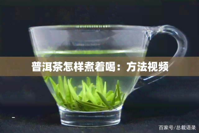 普洱茶怎样煮着喝：方法视频