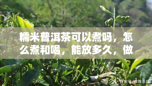 糯米普洱茶可以煮吗，怎么煮和喝，能放多久，做奶茶吗，熟普洱茶功效