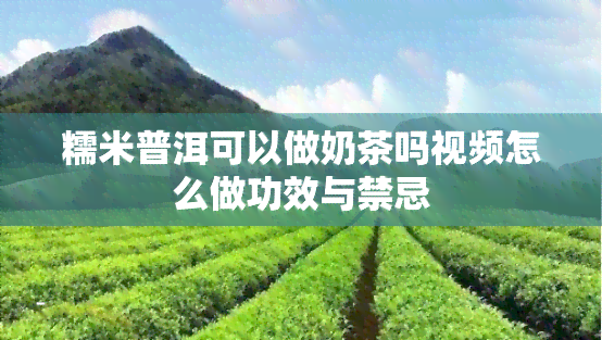 糯米普洱可以做奶茶吗视频怎么做功效与禁忌