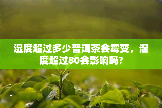 湿度超过多少普洱茶会霉变，湿度超过80会影响吗?