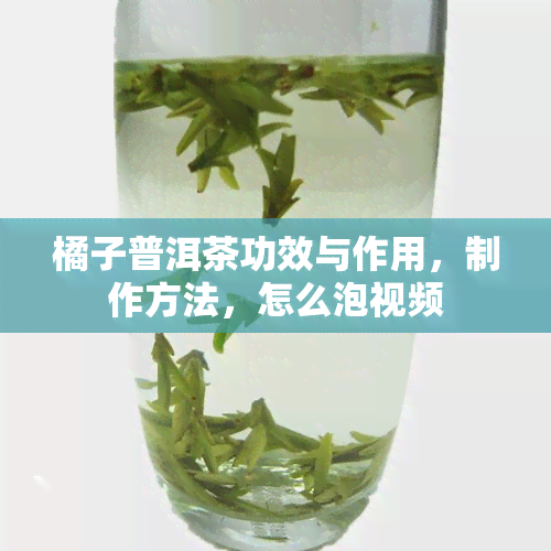 橘子普洱茶功效与作用，制作方法，怎么泡视频