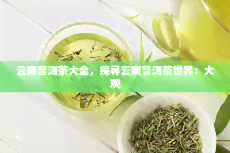 云南普洱茶大全，探寻云南普洱茶世界：大观