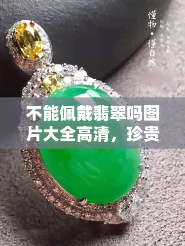 不能佩戴翡翠吗图片大全高清，珍贵之物不可随意佩戴——翡翠高清图片集锦