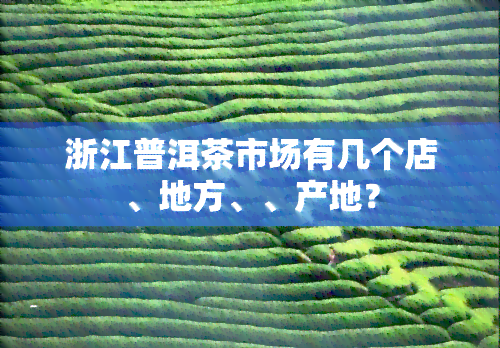 浙江普洱茶市场有几个店、地方、、产地？