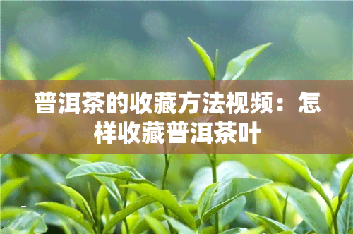 普洱茶的收藏方法视频：怎样收藏普洱茶叶