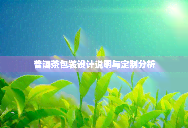 普洱茶包装设计说明与定制分析