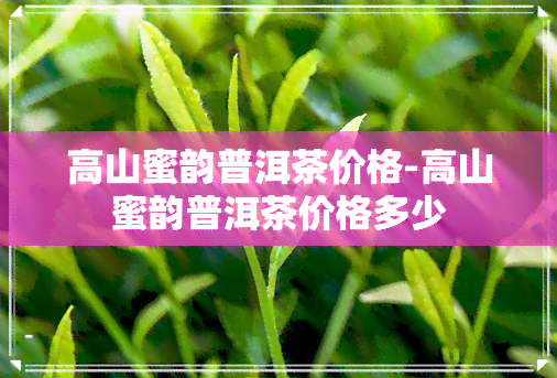 高山蜜韵普洱茶价格-高山蜜韵普洱茶价格多少