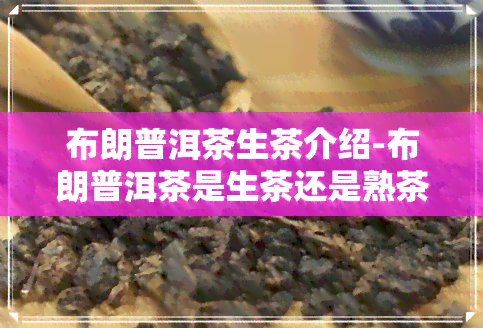 布朗普洱茶生茶介绍-布朗普洱茶是生茶还是熟茶