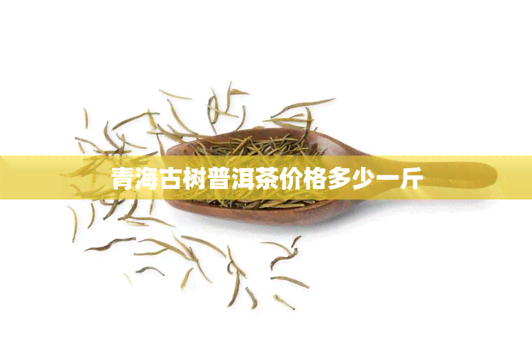 青海古树普洱茶价格多少一斤