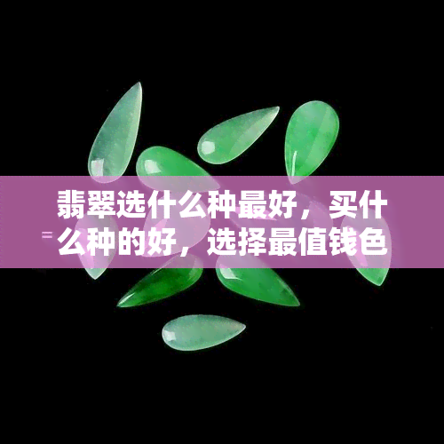 翡翠选什么种更好，买什么种的好，选择最值钱色号