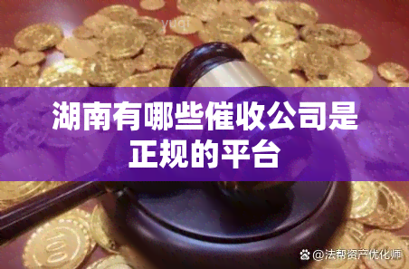 湖南有哪些公司是正规的平台