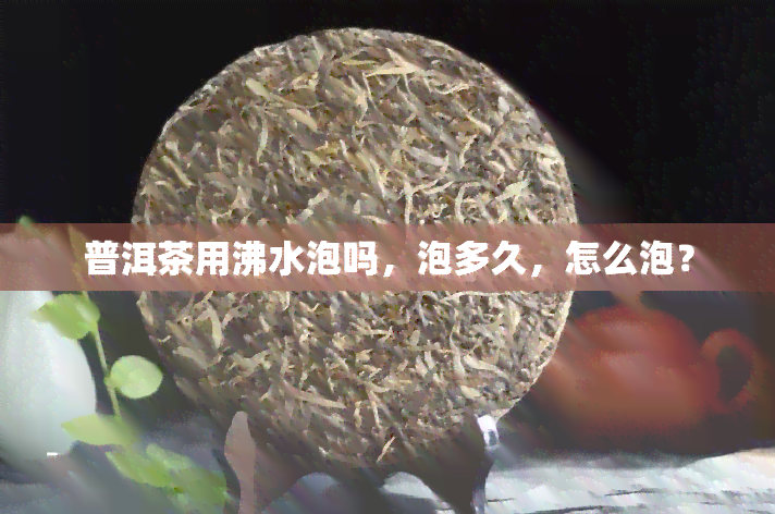 普洱茶用沸水泡吗，泡多久，怎么泡？