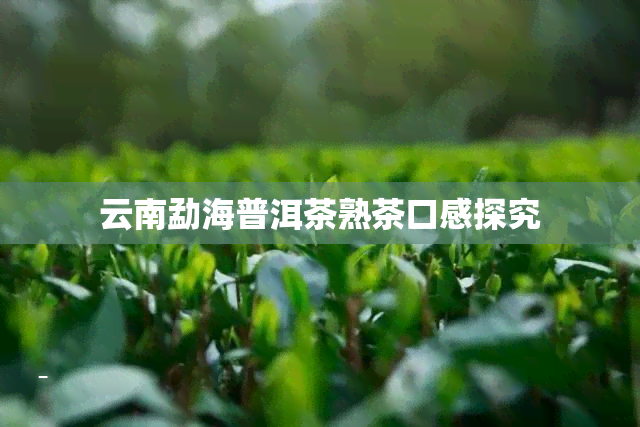 云南勐海普洱茶熟茶口感探究