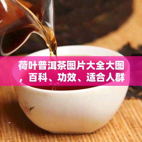 荷叶普洱茶图片大全大图，百科、功效、适合人群及食用方法