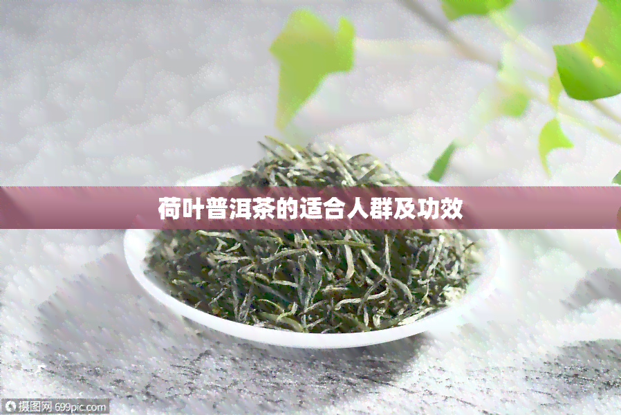 荷叶普洱茶的适合人群及功效