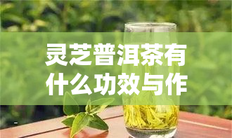 灵芝普洱茶有什么功效与作用及禁忌